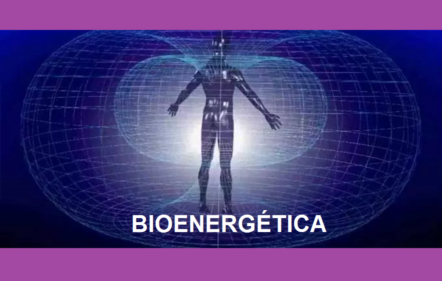 BIOENERGÉTICA E SUAS INFLUÊNCIAS – Parte 1 « Conteúdo que ajuda