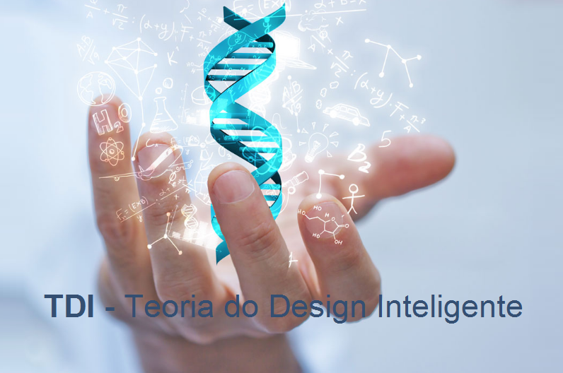 DESIGN INTELIGENTE DA VIDA « Conteúdo que ajuda equilibrar trabalho e vida.