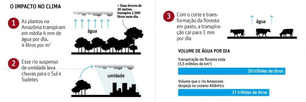 Amazonia_Impacto no Clima